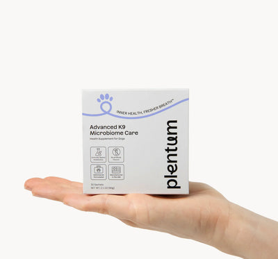 Plentum